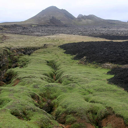 Grabenstruktur in rezenten Lavaflüssen, Island, Krafla-Gebiet
